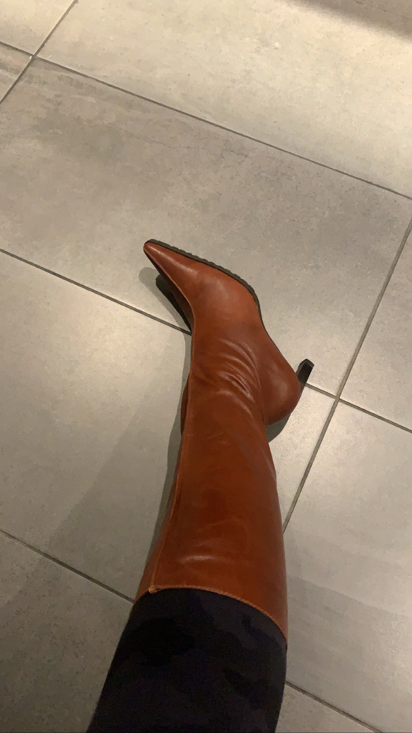 Brown Leather Pointy Toe Boots